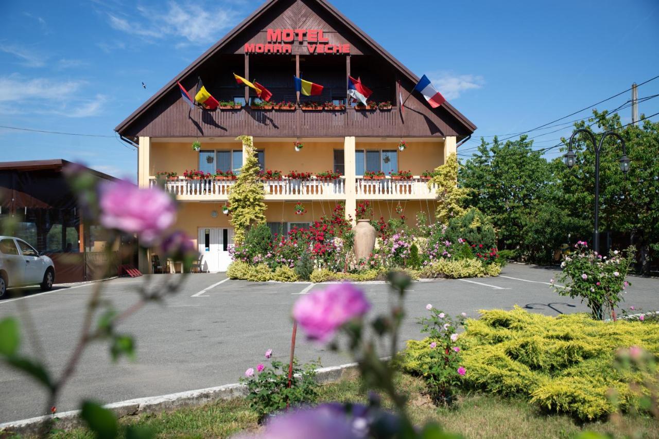 Motel Moara Veche Săcălăşeni Exteriör bild