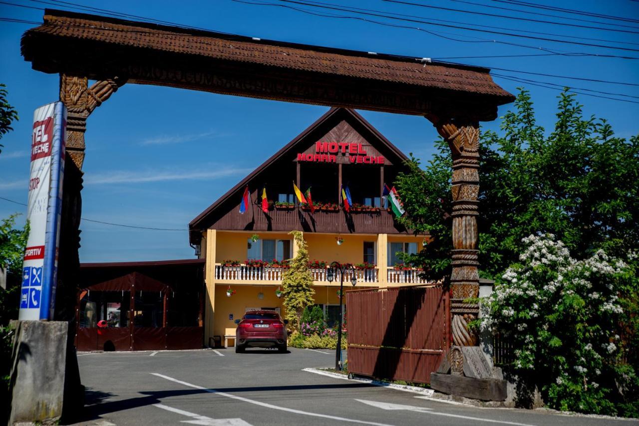 Motel Moara Veche Săcălăşeni Exteriör bild