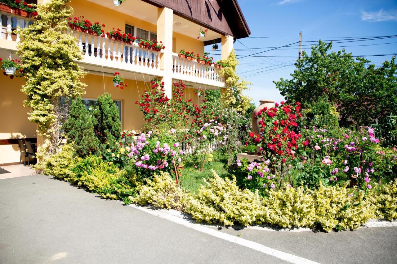 Motel Moara Veche Săcălăşeni Exteriör bild