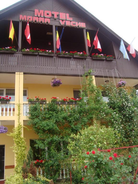 Motel Moara Veche Săcălăşeni Exteriör bild